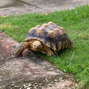 Meet your Posher, Paulina